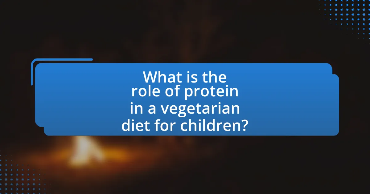 What is the role of protein in a vegetarian diet for children?